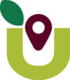 green and maroon hub logo